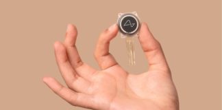 Компания Neuralink набирает людей для тестирования своего мозгового имплантата | New-Science.ru Компания Neuralink набирает людей для тестирования своего мозгового имплантата | New-Science.ru