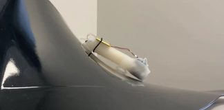 Робот-червь Sensiworm проберется в самые недоступные части реактивных двигателей Робот-червь Sensiworm проберется в самые недоступные части реактивных двигателей