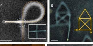 Ученые обнаружили способ писать на воде | New-Science.ru Ученые обнаружили способ писать на воде | New-Science.ru