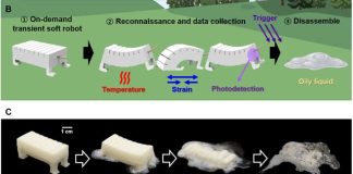 «Робот-шпион», который мгновенно разжижается по требованию | New-Science.ru «Робот-шпион», который мгновенно разжижается по требованию | New-Science.ru
