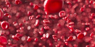 Наконец-то мы точно знаем, из скольких клеток состоит человеческий организм | New-Science.ru Наконец-то мы точно знаем, из скольких клеток состоит человеческий организм | New-Science.ru