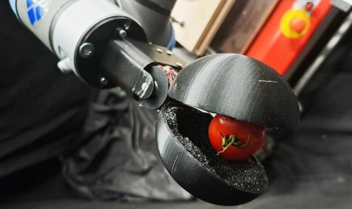 Нейросеть ChatGPT-3 спроектировала робота для сбора томатов