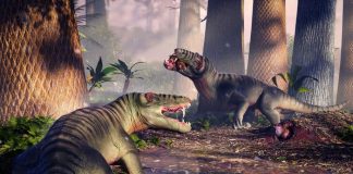 Открытие доисторического хищника, господствовавшего в Южной Америке задолго до появления динозавров | New-Science.ru Открытие доисторического хищника, господствовавшего в Южной Америке задолго до появления динозавров | New-Science.ru