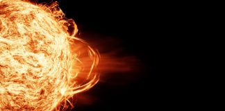 Ученые обнаружили в кольцах деревьев крупнейшую солнечную бурю за всю историю наблюдений | New-Science.ru Ученые обнаружили в кольцах деревьев крупнейшую солнечную бурю за всю историю наблюдений | New-Science.ru