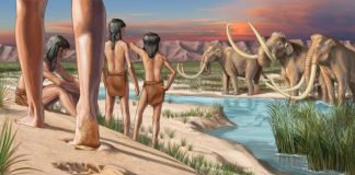 Первые американцы — не те, кем мы их считали, предполагает исследование | New-Science.ru Первые американцы — не те, кем мы их считали, предполагает исследование | New-Science.ru