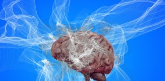 Болезнь Альцгеймера: грибковая инфекция вызывает аналогичные изменения в мозге | New-Science.ru Болезнь Альцгеймера: грибковая инфекция вызывает аналогичные изменения в мозге | New-Science.ru