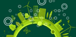 12 областей этичного бизнеса в России: идеи «зеленого», экобизнеса все больше привлекают предпринимателей — «Бизнес-журнал» — российский деловой журнал 12 областей этичного бизнеса в России: идеи «зеленого», экобизнеса все больше привлекают предпринимателей — «Бизнес-журнал» — российский деловой журнал