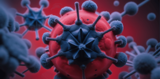 Длительный COVID: выявлена одна из основных причин стойких симптомов | New-Science.ru Длительный COVID: выявлена одна из основных причин стойких симптомов | New-Science.ru