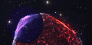 IXPE изучил остатки сверхновой, наблюдавшейся в 1006 году: самая яркая из когда-либо зарегистрированных | New-Science.ru IXPE изучил остатки сверхновой, наблюдавшейся в 1006 году: самая яркая из когда-либо зарегистрированных | New-Science.ru