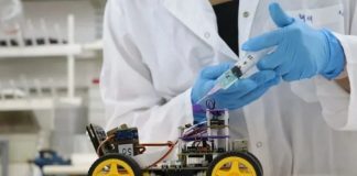 В Израиле разработали киборга-саранчу с фантастическим обонянием В Израиле разработали киборга-саранчу с фантастическим обонянием