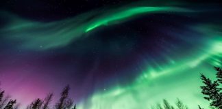 Почему следующие 4–5 лет будут лучшими для того, чтобы увидеть северное сияние | New-Science.ru Почему следующие 4–5 лет будут лучшими для того, чтобы увидеть северное сияние | New-Science.ru