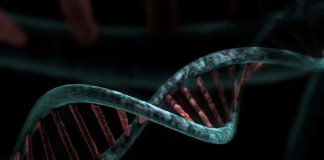 Человек отправляет свою ДНК на Луну, чтобы ее клонировали инопланетяне | New-Science.ru Человек отправляет свою ДНК на Луну, чтобы ее клонировали инопланетяне | New-Science.ru