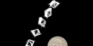 Крошечный робот-саранча стал чемпионом мира по прыжкам в длину Крошечный робот-саранча стал чемпионом мира по прыжкам в длину