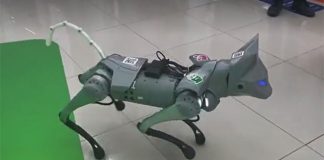 В Сбере создали «которобота», который выполняет почти все «кошачьи» функции В Сбере создали «которобота», который выполняет почти все «кошачьи» функции