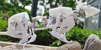 Робот-крыса SQuRo поможет отыскать людей под завалами Робот-крыса SQuRo поможет отыскать людей под завалами