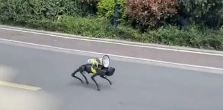 Робособаки помогают жителям Шанхая соблюдать комендантский час Робособаки помогают жителям Шанхая соблюдать комендантский час