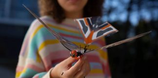 Bionic Bird представила летающего робота-насекомое X-Fly Bionic Bird представила летающего робота-насекомое X-Fly