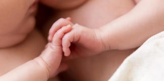 Почему у однояйцевых близнецов не совпадают отпечатки пальцев | New-Science.ru Почему у однояйцевых близнецов не совпадают отпечатки пальцев | New-Science.ru