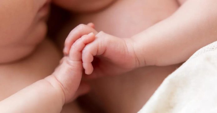 Почему у однояйцевых близнецов не совпадают отпечатки пальцев | New-Science.ru