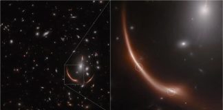 Джеймс Уэбб заметил сверхновую в гравитационной линзе | New-Science.ru Джеймс Уэбб заметил сверхновую в гравитационной линзе | New-Science.ru