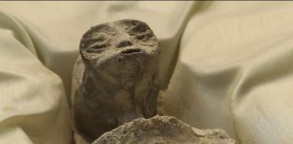 Мексиканские «внеземные мумии»: попытка скрыть судебный скандал? | New-Science.ru Мексиканские «внеземные мумии»: попытка скрыть судебный скандал? | New-Science.ru