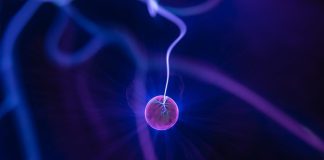 Объединение квантовых вычислений и теории узлов может привести к созданию неподделываемой валюты | New-Science.ru Объединение квантовых вычислений и теории узлов может привести к созданию неподделываемой валюты | New-Science.ru