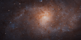 «Джеймс Уэбб» установил новый рекорд, отличив молодые звезды в галактике Треугольник | New-Science.ru «Джеймс Уэбб» установил новый рекорд, отличив молодые звезды в галактике Треугольник | New-Science.ru