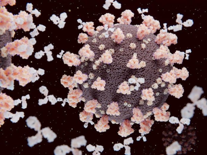 COVID: вариант JN.1 чаще поражает легкие | New-Science.ru