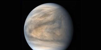 Строительные блоки жизни выживают в сернистых облаках Венеры | New-Science.ru Строительные блоки жизни выживают в сернистых облаках Венеры | New-Science.ru