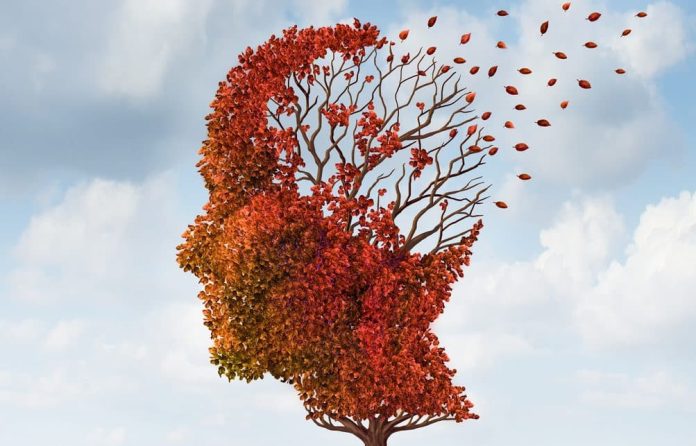 Исследователи сделали важное открытие в области болезни Альцгеймера | New-Science.ru