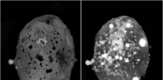 Один из самых редких микрометеоритов в мире обнаружен в Италии: он содержит «невозможный» материал | New-Science.ru Один из самых редких микрометеоритов в мире обнаружен в Италии: он содержит «невозможный» материал | New-Science.ru