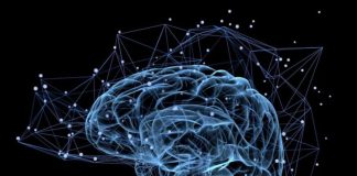 ИИ от Meta может анализировать ваши мозговые волны и «читать» то, что вы слышите | New-Science.ru ИИ от Meta может анализировать ваши мозговые волны и «читать» то, что вы слышите | New-Science.ru