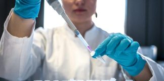 COVID: новое исследование поддерживает гипотезу о лабораторной утечке | New-Science.ru COVID: новое исследование поддерживает гипотезу о лабораторной утечке | New-Science.ru