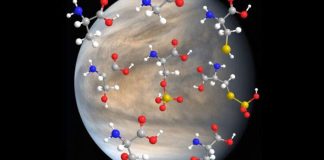 Облака Венеры могут быть гостеприимны для некоторых форм жизни | New-Science.ru Облака Венеры могут быть гостеприимны для некоторых форм жизни | New-Science.ru
