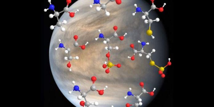 Облака Венеры могут быть гостеприимны для некоторых форм жизни | New-Science.ru
