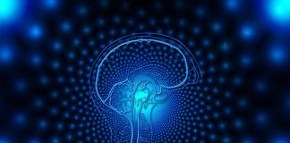 Квантовый компьютер, использующий гигантские атомы, может имитировать человеческий мозг | New-Science.ru Квантовый компьютер, использующий гигантские атомы, может имитировать человеческий мозг | New-Science.ru