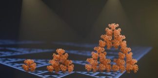 Впервые в природе обнаружена микроскопическая фрактальная структура | New-Science.ru Впервые в природе обнаружена микроскопическая фрактальная структура | New-Science.ru