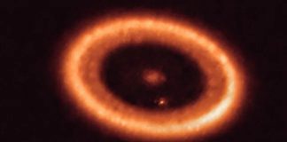 Джеймс Уэбб обнаружил свидетельства образования экзоспутника в зарождающейся звездной системе | New-Science.ru Джеймс Уэбб обнаружил свидетельства образования экзоспутника в зарождающейся звездной системе | New-Science.ru