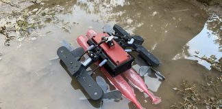 Робот-ящерица AmphiSTAR чрезвычайно ловко бегает по воде Робот-ящерица AmphiSTAR чрезвычайно ловко бегает по воде