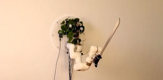 Эксцентричный инженер превратил обычное домашнее растение в робота с мачете Эксцентричный инженер превратил обычное домашнее растение в робота с мачете