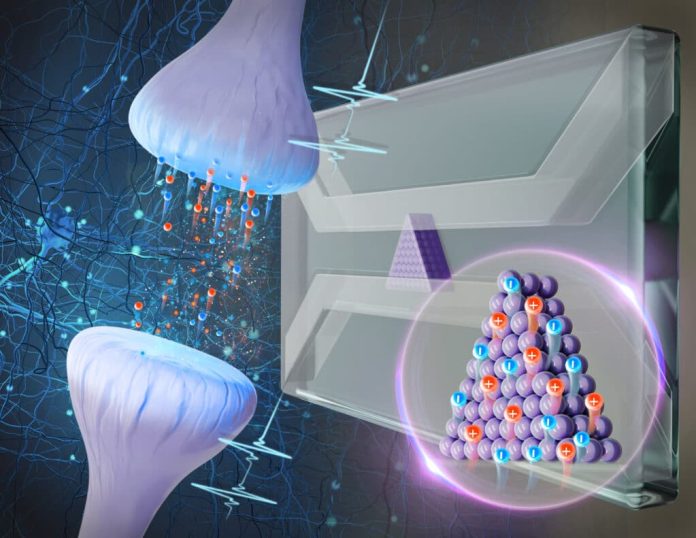 Впервые протестирована компьютерная система, работающая как мозг (с водой и ионами) | New-Science.ru