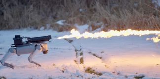 Робопес с огнеметом Thermonator поступил в свободную продажу Робопес с огнеметом Thermonator поступил в свободную продажу