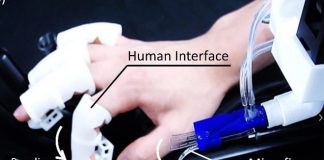 Японские ученые разработали робопалец, который позволит потрогать крошечное насекомое Японские ученые разработали робопалец, который позволит потрогать крошечное насекомое