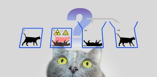 Пересмотр уравнения Шрёдингера может объединить относительность и квантовую механику | New-Science.ru Пересмотр уравнения Шрёдингера может объединить относительность и квантовую механику | New-Science.ru