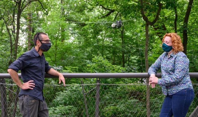 Робот-ленивец