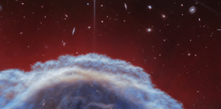 Телескоп «Джеймс Уэбб» сфотографировал туманность Конская голова с беспрецедентным разрешением | New-Science.ru Телескоп «Джеймс Уэбб» сфотографировал туманность Конская голова с беспрецедентным разрешением | New-Science.ru