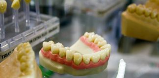 В сентябре начнутся клинические испытания первого в мире препарата для регенерации зубов | New-Science.ru В сентябре начнутся клинические испытания первого в мире препарата для регенерации зубов | New-Science.ru