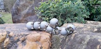 Стальные робоулитки объединяют усилия, чтобы передвигаться по бездорожью Стальные робоулитки объединяют усилия, чтобы передвигаться по бездорожью