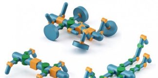 Инженеры MIT научили искусственный интеллект самостоятельно проектировать роботов Инженеры MIT научили искусственный интеллект самостоятельно проектировать роботов