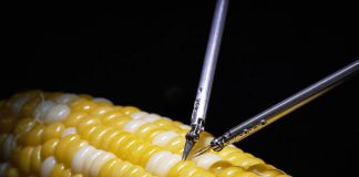 Робот-хирург от Sony сумел зашить кукурузное зернышко Робот-хирург от Sony сумел зашить кукурузное зернышко
